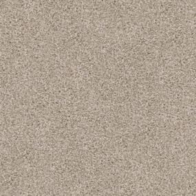 Big Dog - Pomeranian Swatch