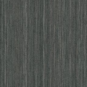 Wisdom TL - Expert Swatch