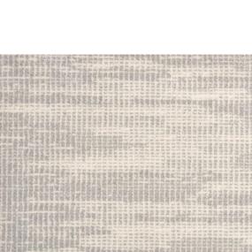 Silver Zoomed Swatch