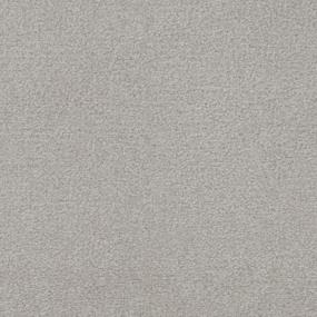 Sea Lion Zoomed Swatch