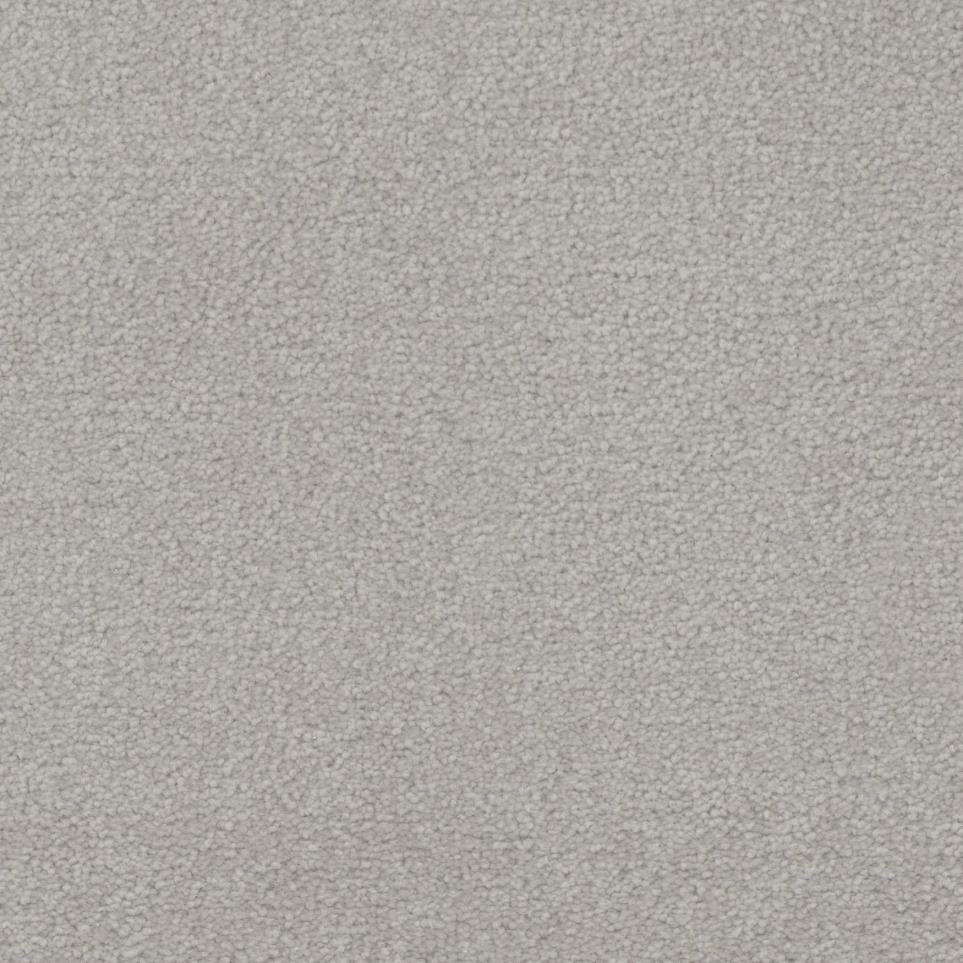 Sea Lion Zoomed Swatch