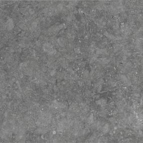 Light Grey Matte Swatch