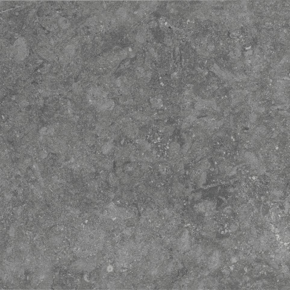 Diplomacy Square 24X24 Mt by Daltile - Light Grey Matte