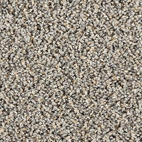 Cantebury II - Power Gray Swatch