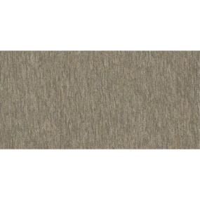 Equating TL - Illusive Swatch