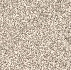 Stunning - Seashells Swatch