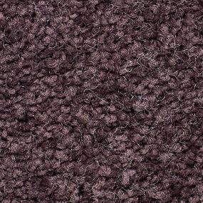 Sheer Essence - Plum Wine Swatch