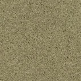 Tribute - Caprice Swatch