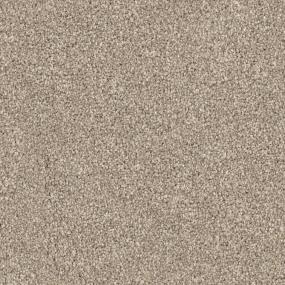 Shar-Pei Swatch Thumbnail