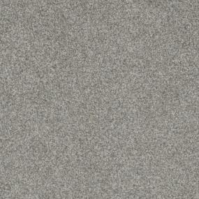 Fancy That Zoomed Swatch