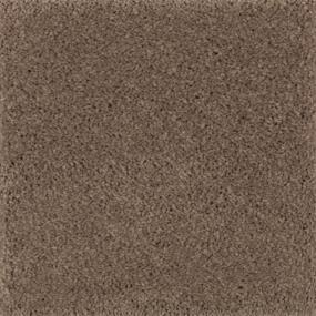 Natural Splendor II - Rich Earth Swatch