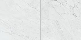 Marble Attache Lavish Rectangle 12X24 Mt - Diamond Carrara Matte Swatch
