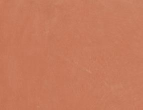 Coral Swatch Thumbnail