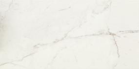 Classentino Marble Rectangle 24X48 Pl - Palazzo White Polished Swatch