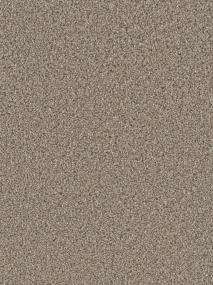Tumbleweed Swatch Thumbnail