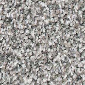 Magnetic Allure R436831200 - Flannel Swatch