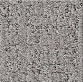 Shadow Colossal - Slinky Swatch