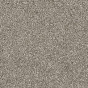 Driftwood Zoomed Swatch