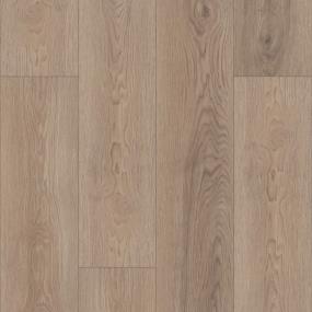 Naugatuck Forest - Taconic Tan Swatch