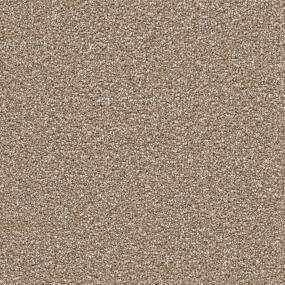Cape Cod - Acorn Swatch