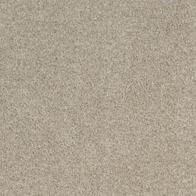 Simply Taupe Zoomed Swatch
