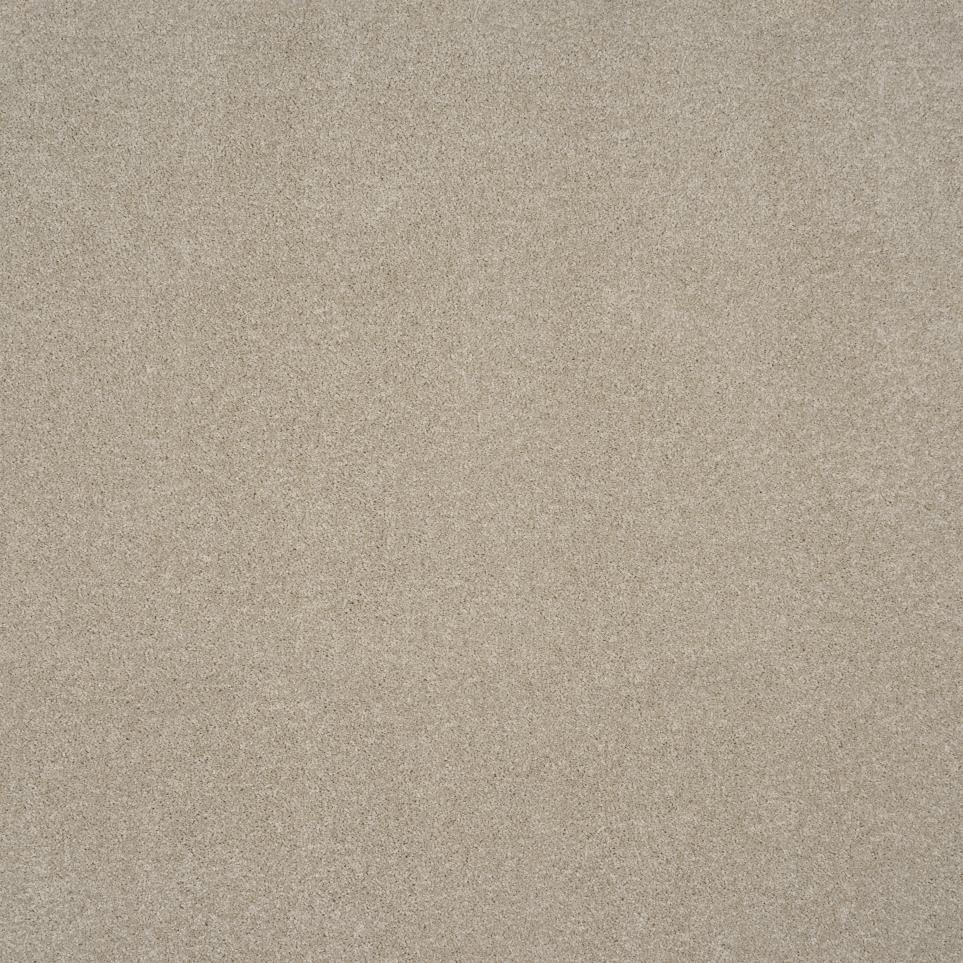 Simply Taupe Swatch