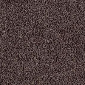 Antigua Brown Swatch