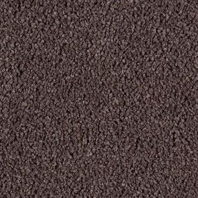 Antigua Brown Zoomed Swatch