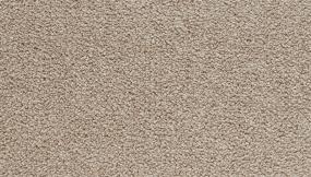 Spacious Solid - Deer Valley Swatch