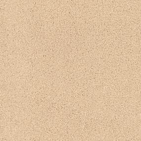 Tribute - Bon Ton Swatch