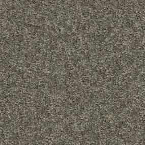 Cabana Life Solid - Tree Bark Swatch