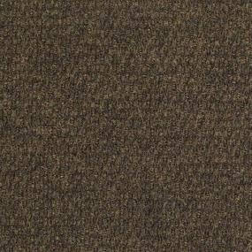 Camelback Zoomed Swatch