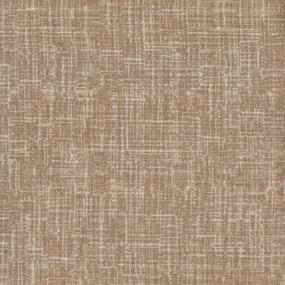 Classico Dfb - Palazzo Brown Swatch