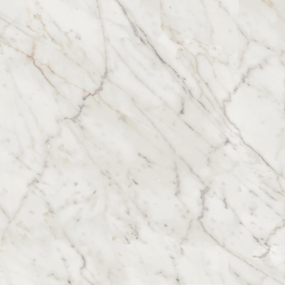 Marble Attache Lavish Rectangle 24X48 ST