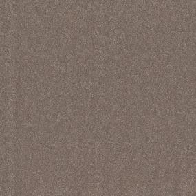 Peak View II 12' - Rich Earth Swatch
