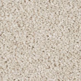 Simply Taupe Zoomed Swatch