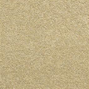 Driftwood Swatch Thumbnail