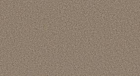 Camp Trail I - Mountain High Swatch