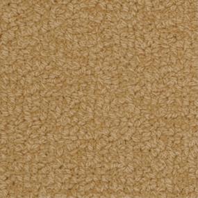 Savant - Padgett Swatch