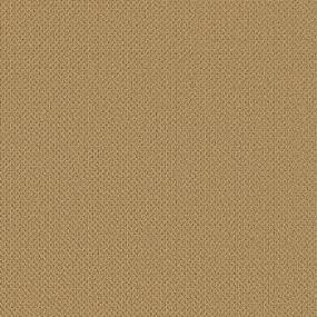Summer Swatch Thumbnail