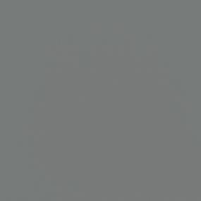 Charcoal Matte Swatch Thumbnail