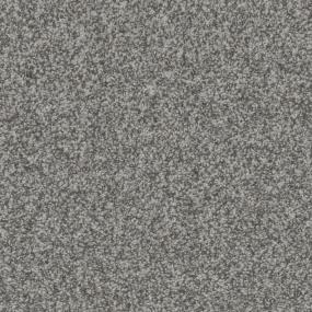 Snow Goose Zoomed Swatch