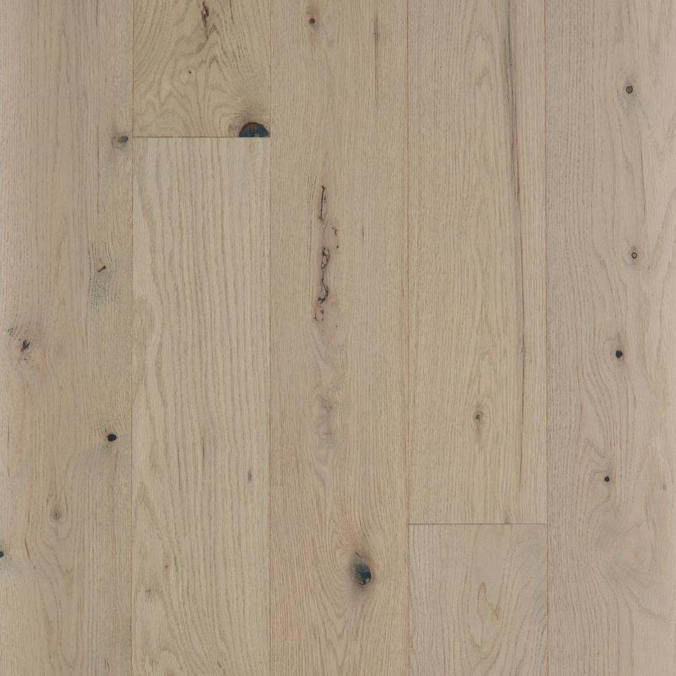 Sanctuary Oak
