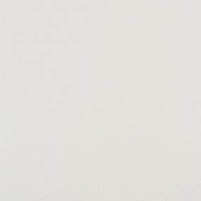 White Polished Swatch Thumbnail