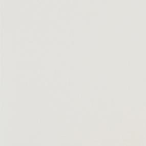 White Polished Zoomed Swatch