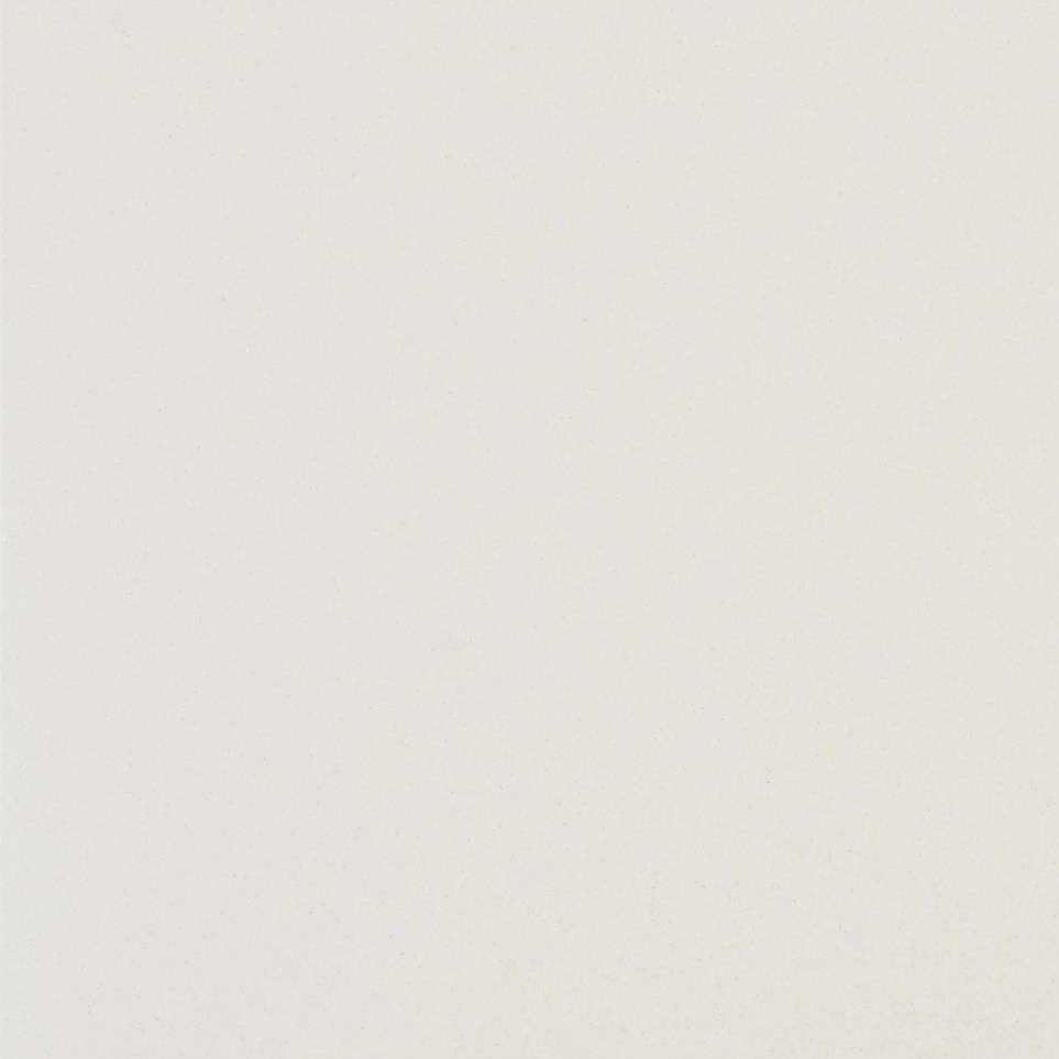 White Polished Zoomed Swatch