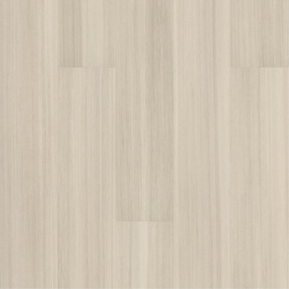 Sand Dollar Swatch