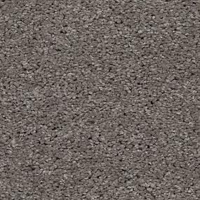 Simply Amazing - Sparrow Swatch