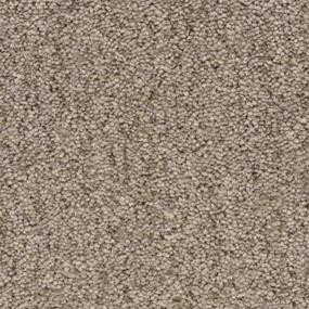 Pelican Zoomed Swatch