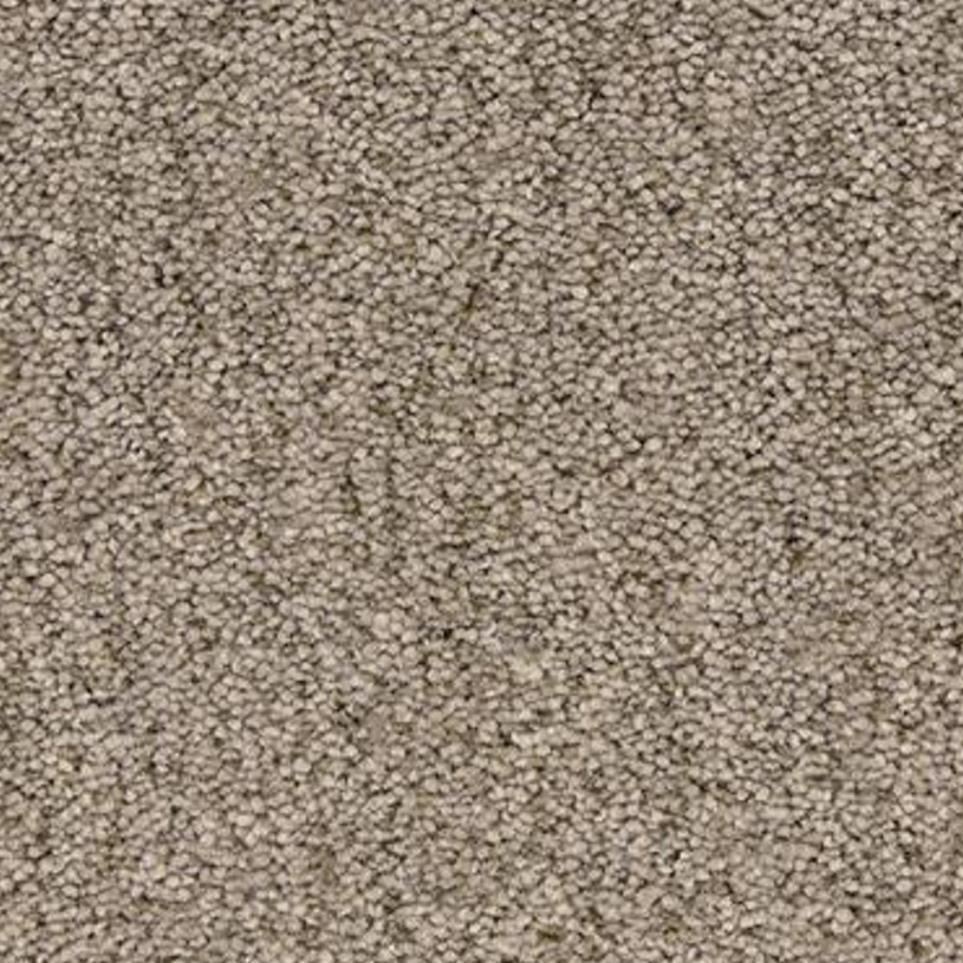 Pelican Zoomed Swatch
